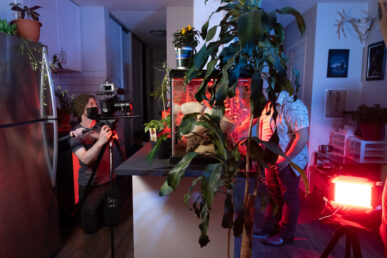 {{brizy_dc_image_alt imageSrc=