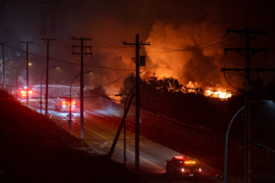 {{brizy_dc_image_alt imageSrc=