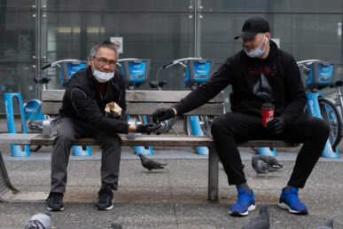 {{brizy_dc_image_alt imageSrc=